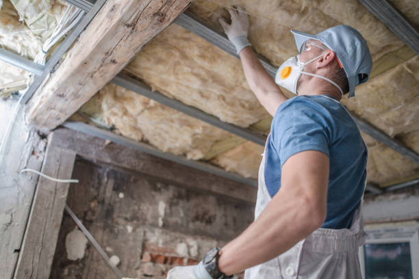 Best Commercial Insulation in Krugerville, TX