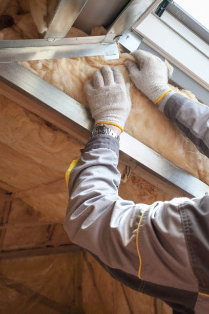 Best Insulation Maintenance and Repair in Krugerville, TX