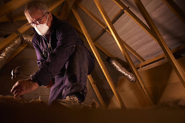 Best Types of Insulation in Krugerville, TX