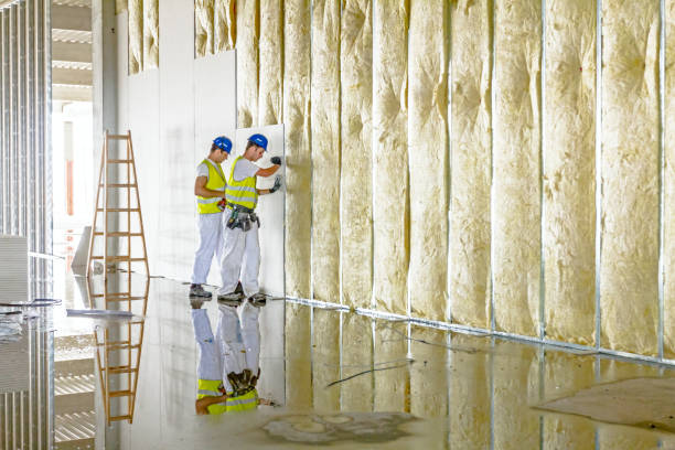 Krugerville, TX Insulation Contractor Pros